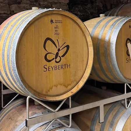 Seyberth's