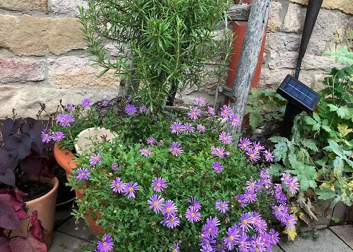 Seyberth's Chalé Siefersheim